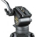 Cartoni Action Pro